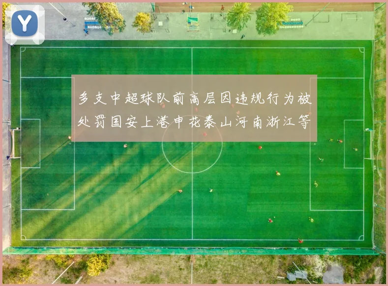 多支中超球队前高层因违规行为被处罚国安上港申花泰山河南浙江等队受影响