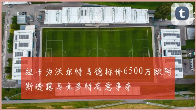 纽卡为沃尔特马德标价6500万欧阿斯透露马竞多特有意争夺
